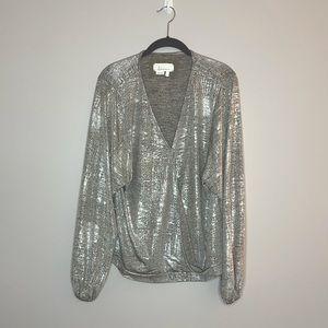 EUC Anthropologie Silver Luster Top